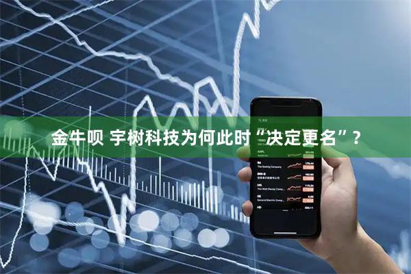 金牛呗 宇树科技为何此时“决定更名”?