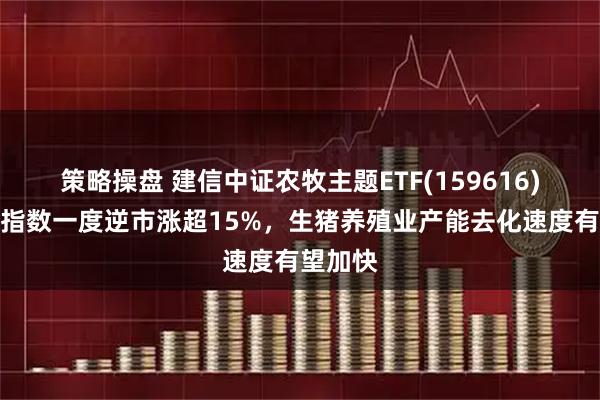 策略操盘 建信中证农牧主题ETF(159616)所跟踪指数一度逆市涨超15%,生猪养殖业产能去化速度有望加快