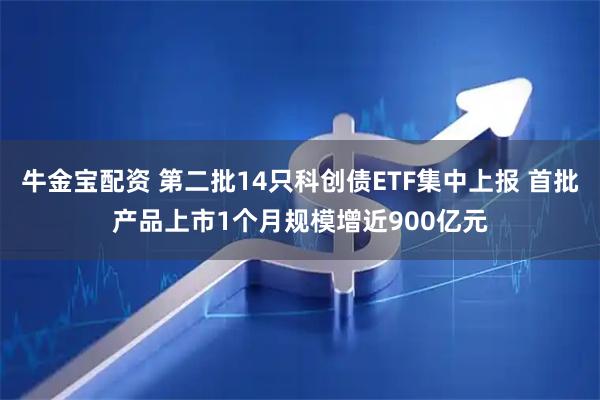 牛金宝配资 第二批14只科创债ETF集中上报 首批产品上市1个月规模增近900亿元