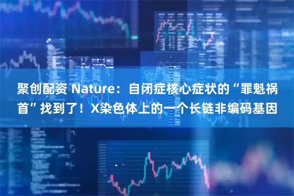 聚创配资 Nature：自闭症核心症状的“罪魁祸首”找到了！X染色体上的一个长链非编码基因